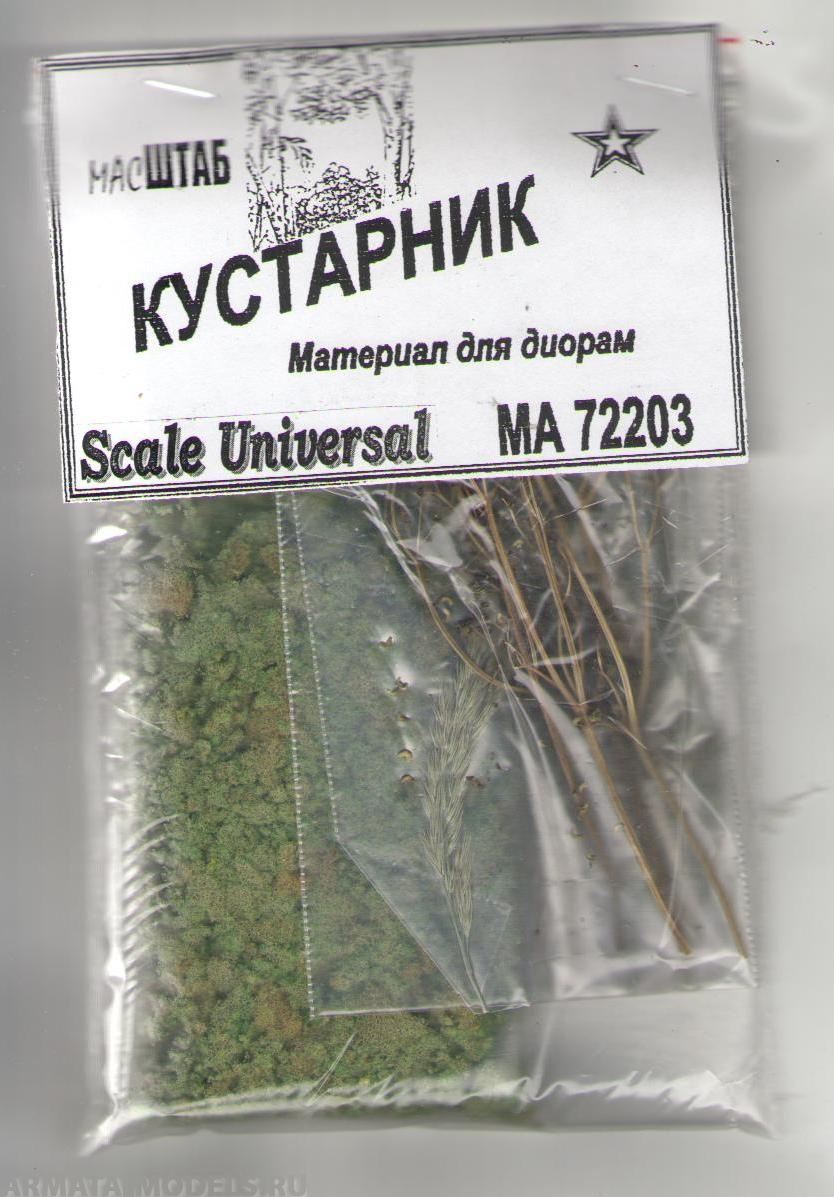 72203 Кустарник