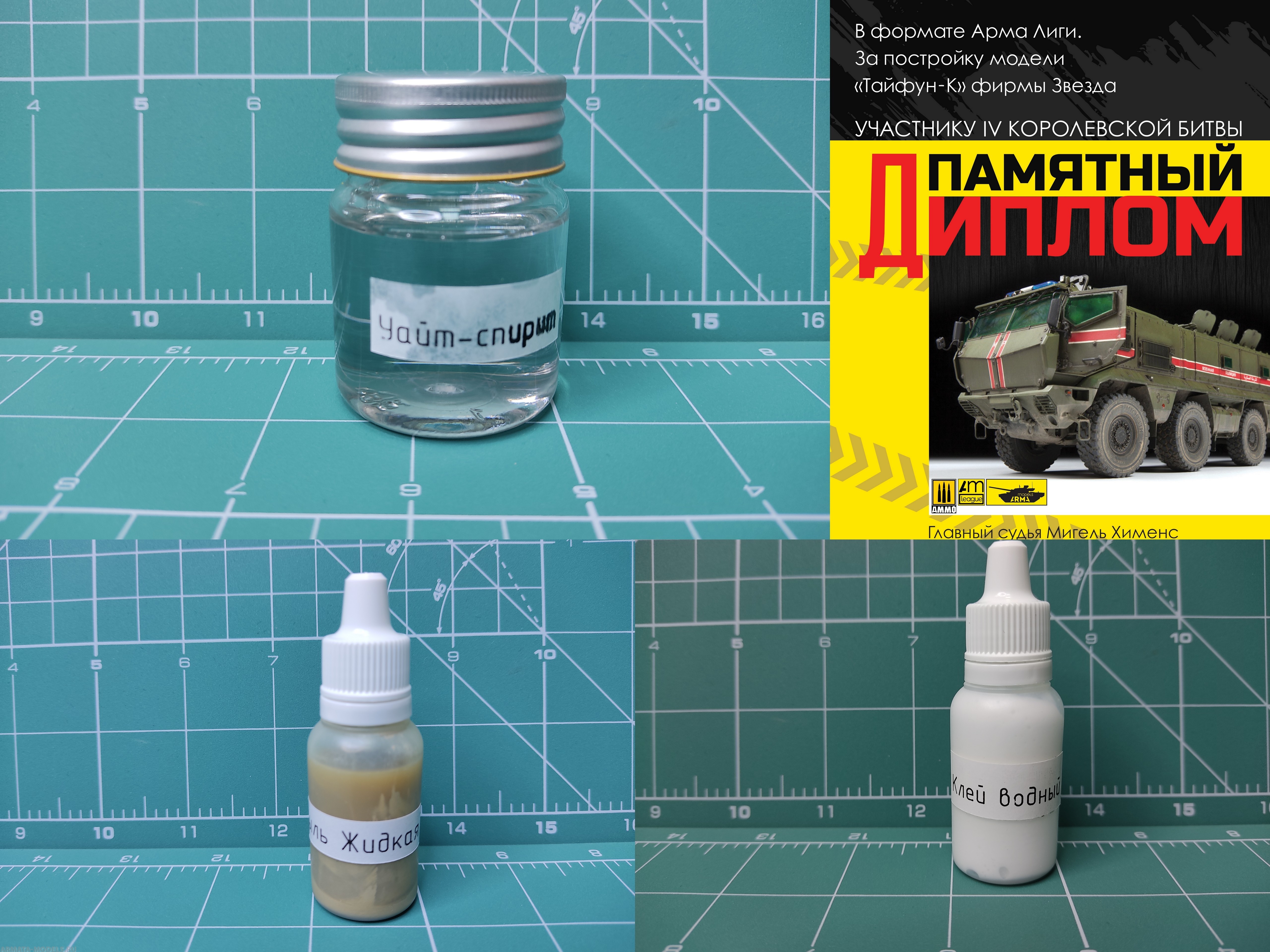 AM0006 Приз участнику четвертой Королевской Битвы