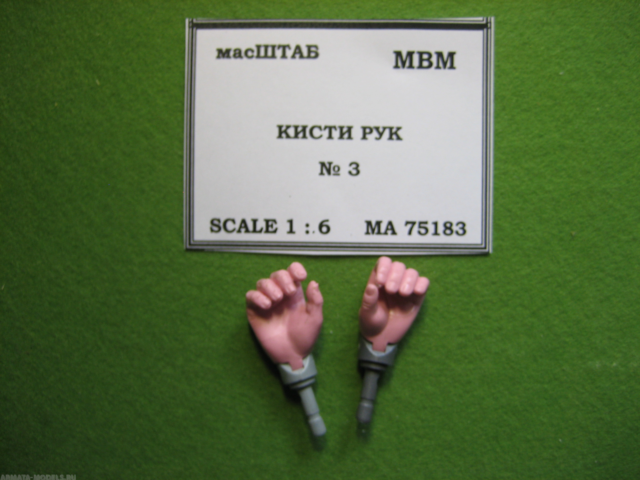 75183 Кисти рук № 3